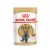 Royal Canin Adult British Shorthair 85g 