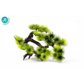 BONSAI kicsi-terráriumi növény