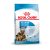 Royal Canin Maxi Starter 15kg
