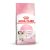 Royal Canin Kitten 10kg